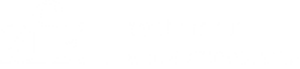 Logo: ZFE